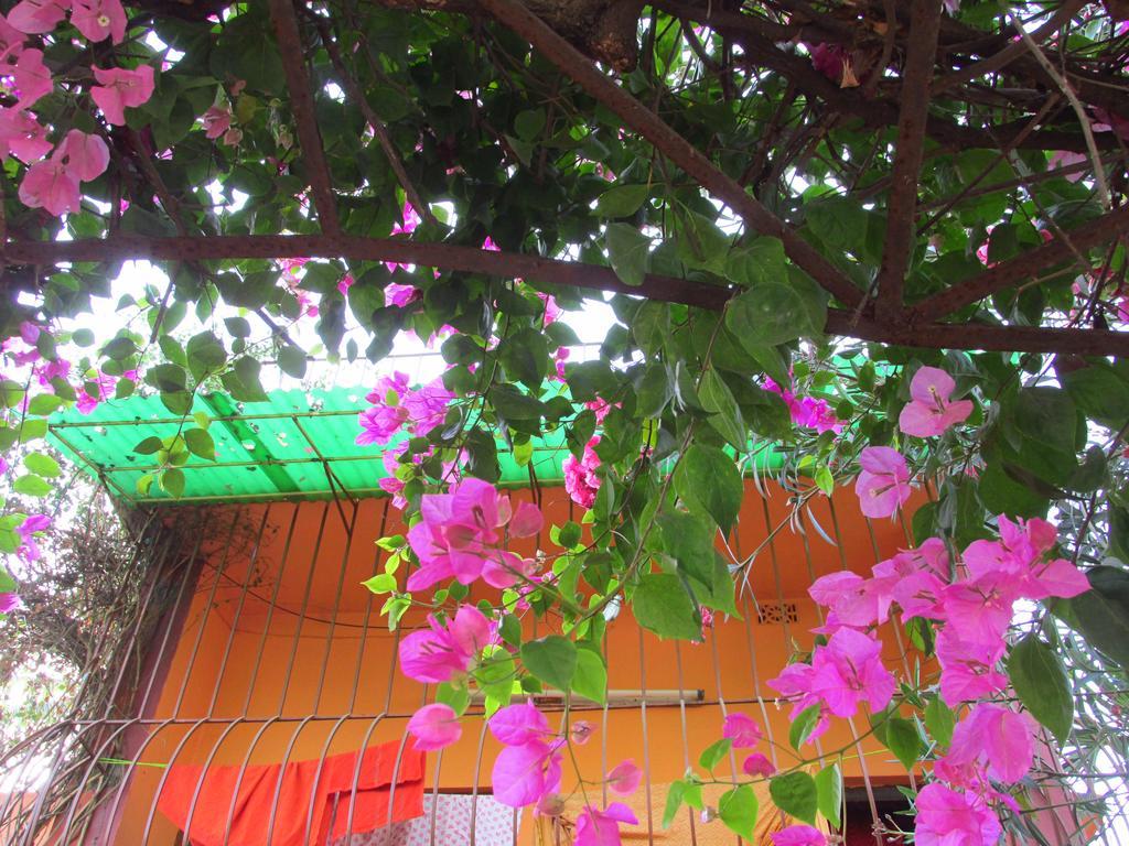 Pubali Homestay Болпур Екстериор снимка